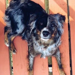 Meet your Posher, Laney